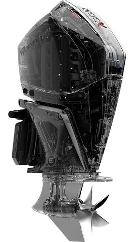 8771983_20230327072052905_1_LARGE